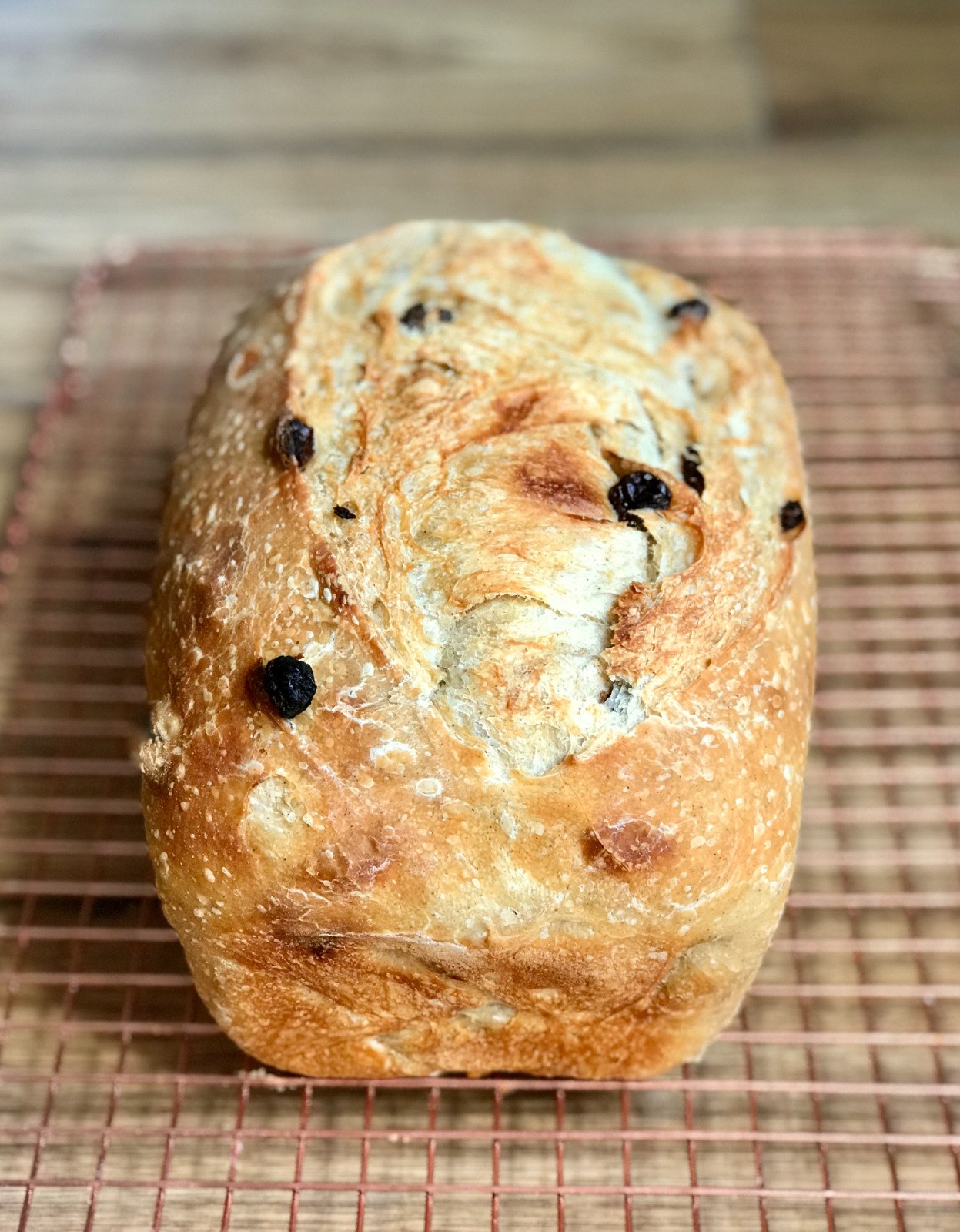 A cinnamon-raisin sourdough loaf studded with dark raisins, crust dusted with flour
