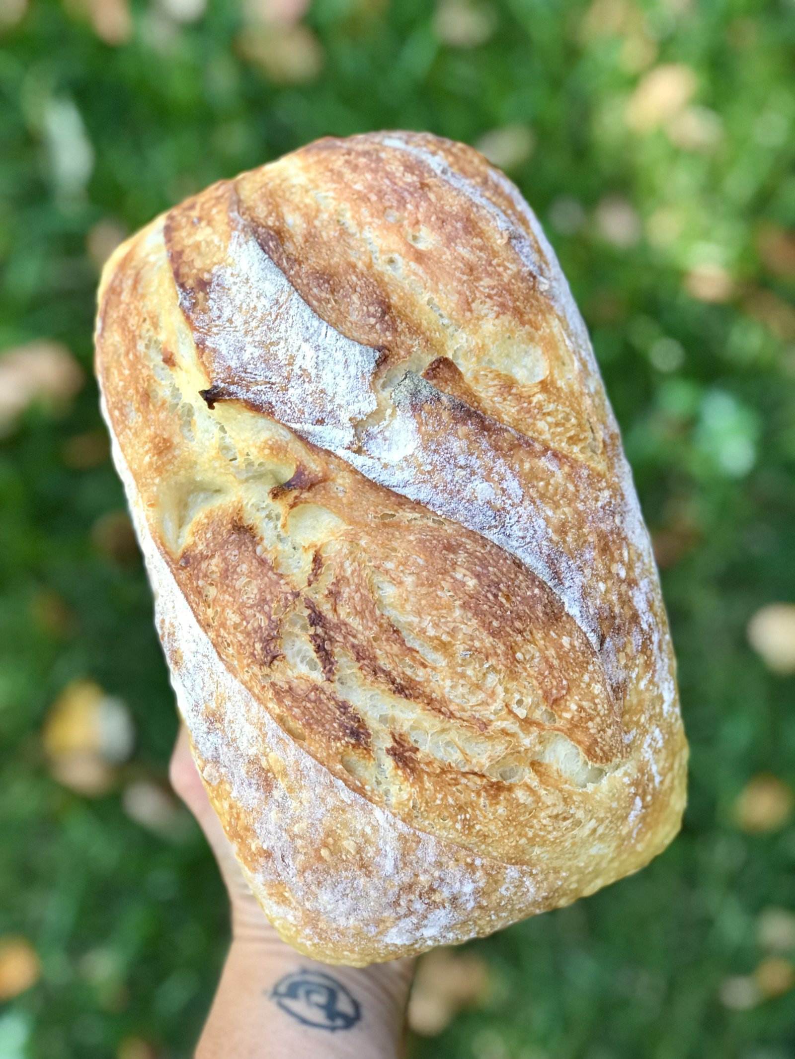 A hand holding a freshly baked artisan sourdough loaf with a deeply scored, flour-dusted golden crust, against a soft green garden backdrop