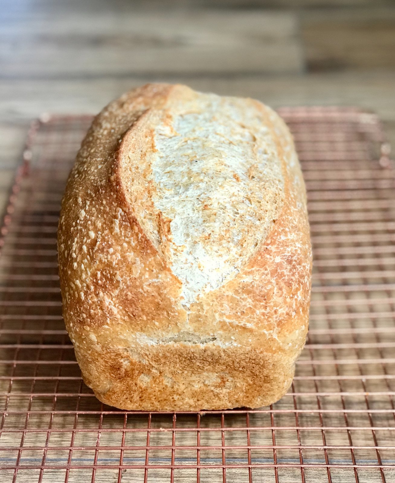 A golden whole-wheat sourdough loaf with a floured, crackly crust cooling on a copper wire rack